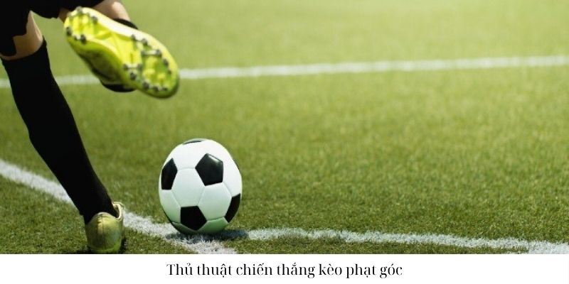 Mách bạn 3 chiến thuật chơi cá cược cực đỉnh