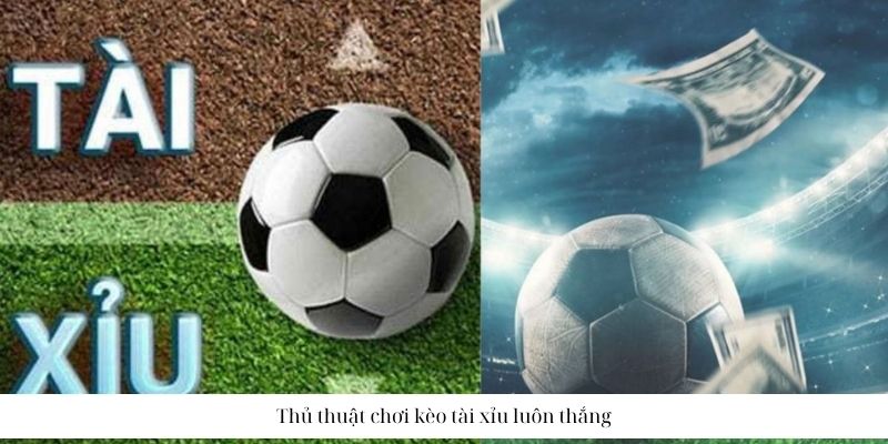 Chơi tài xỉu 1 trái như thế nào để thắng cùng V9BET