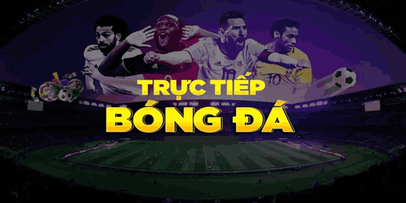 Khám phá thế giới bóng đá sống động với hệ thống V9BET