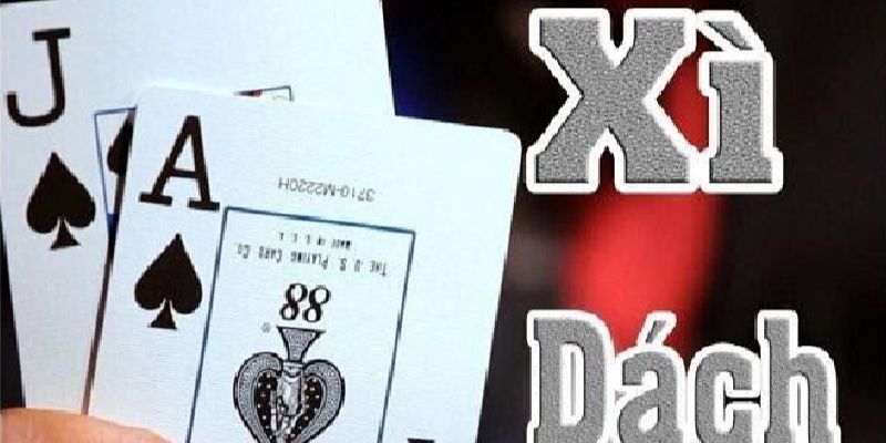 Xì dách là trò chơi tương đối thú vị
