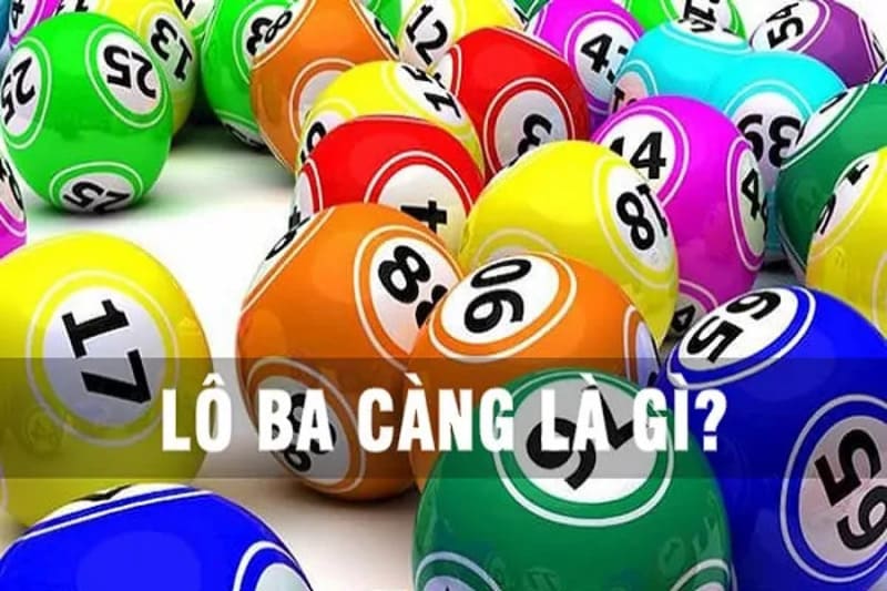 Giới thiệu tổng quan về lô 3 càng