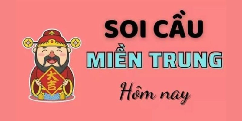 soi-cau-mien-trung-la-gi