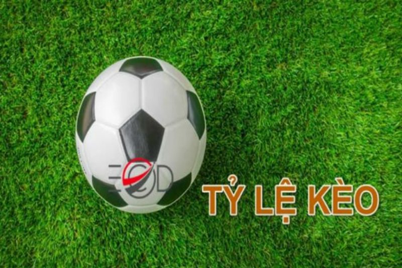 Tỷ lệ kèo bóng đá