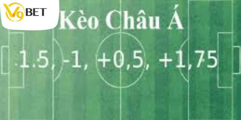 Cách đọc kèo đồng banh nửa trái