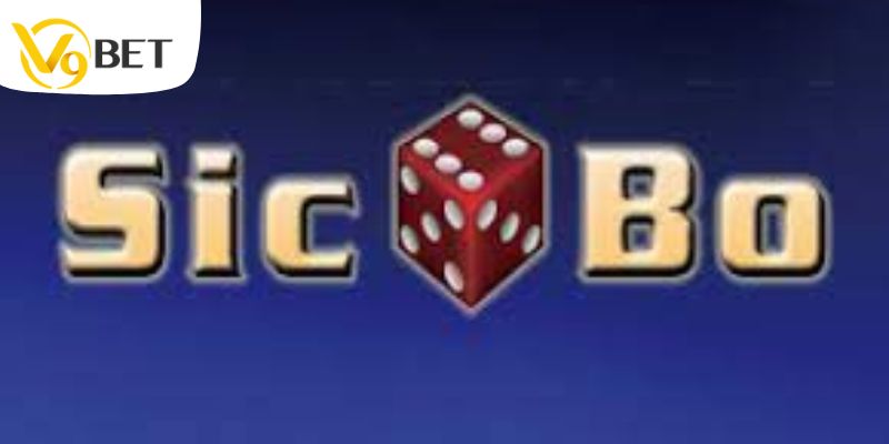 Kinh nghiệm hữu ích từ cao thủ sicbo