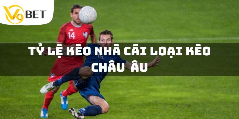 Đặt cược hiệu quả với tỷ lệ kèo châu âu