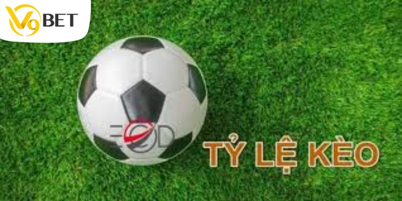 Theo dõi tỷ lệ cược bóng đá hôm nay cùng nhà cái